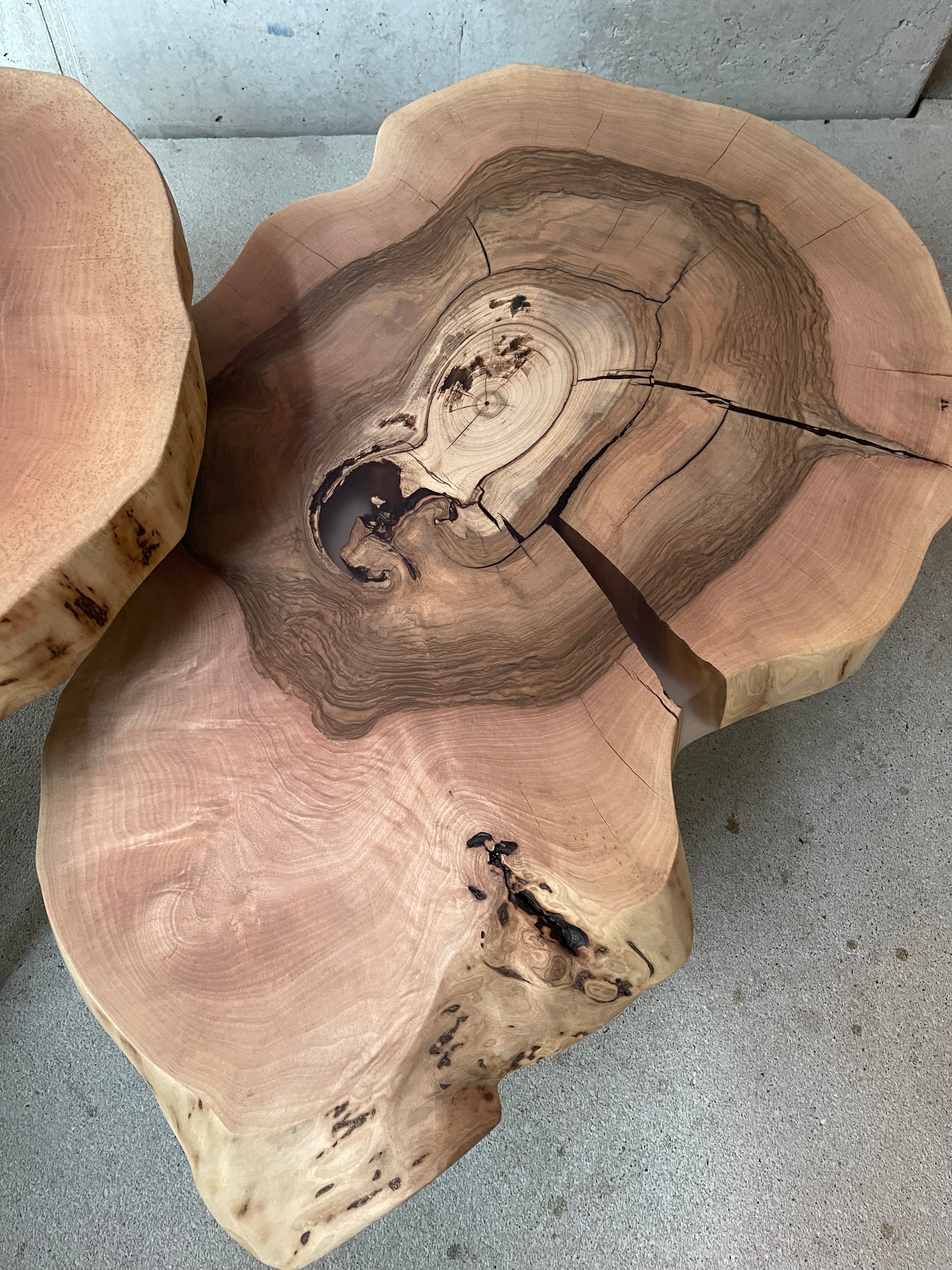 Couchtisch Holz Baumscheibe 