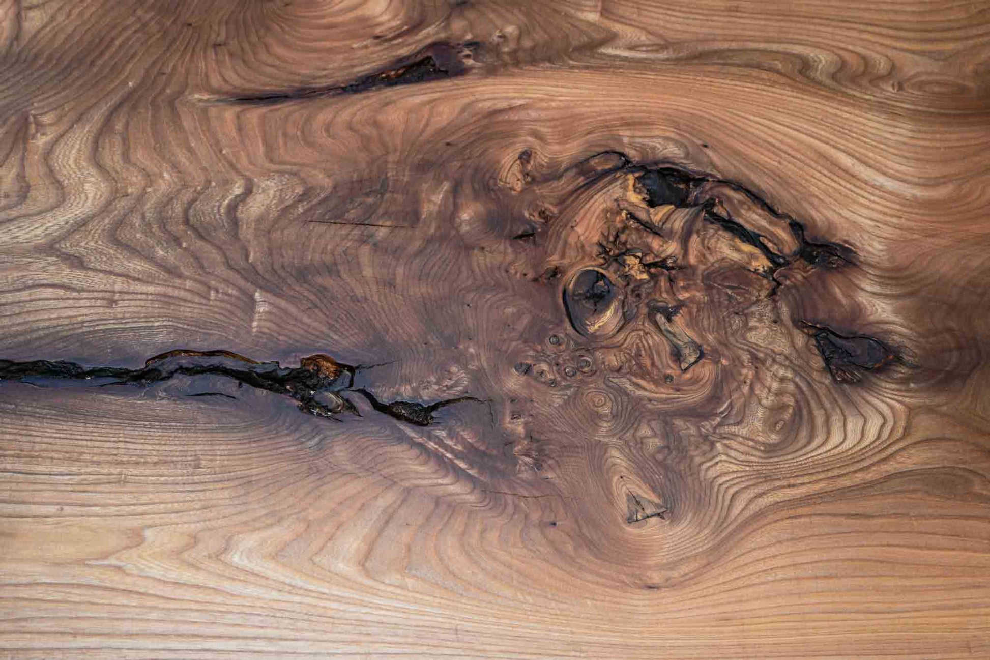 Großer Baumtisch | Holzwerk Hamburg