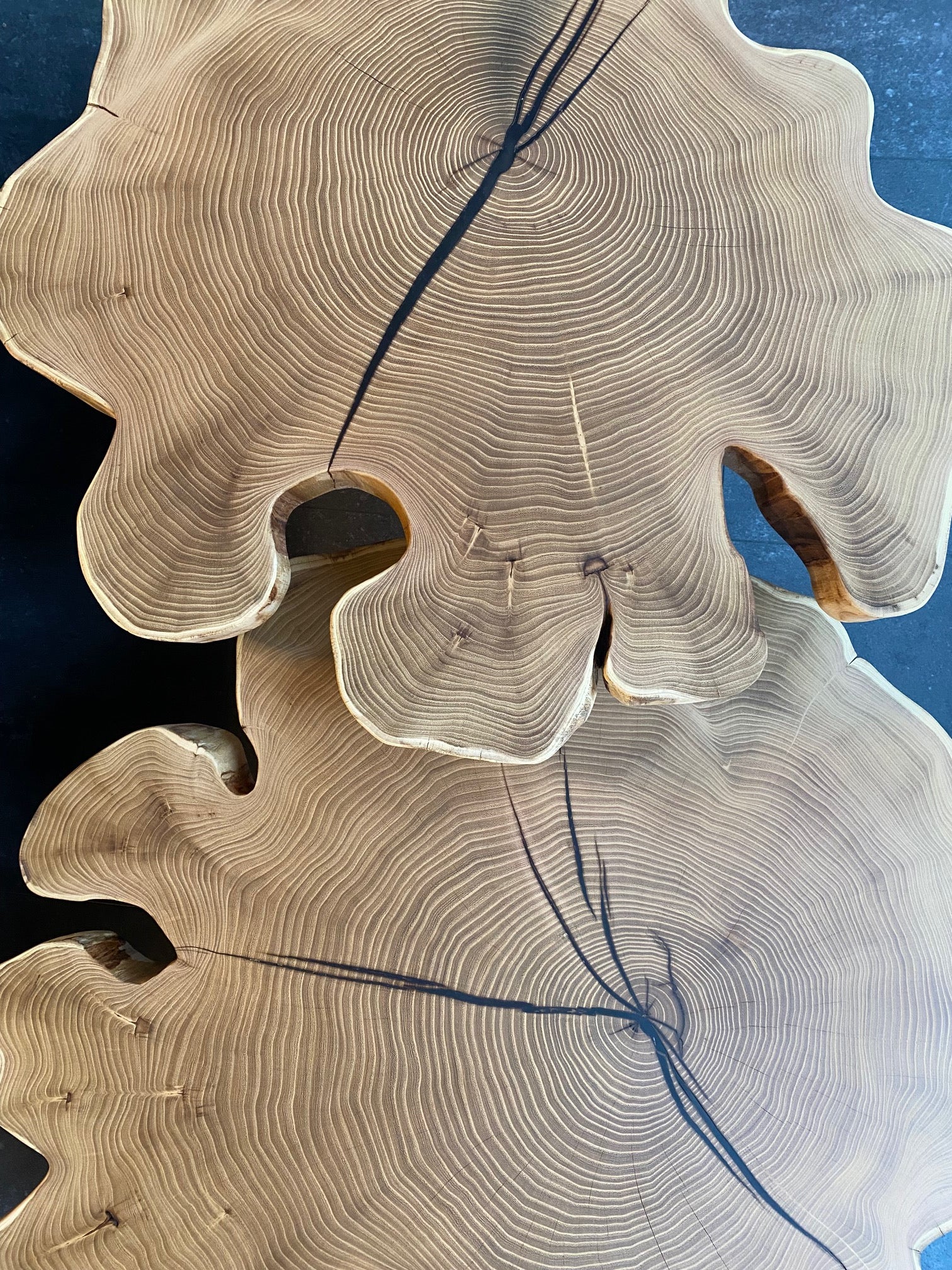 Baumscheibentisch | Beistelltisch aus einem Stück Holz | Holzwerk Hamburg